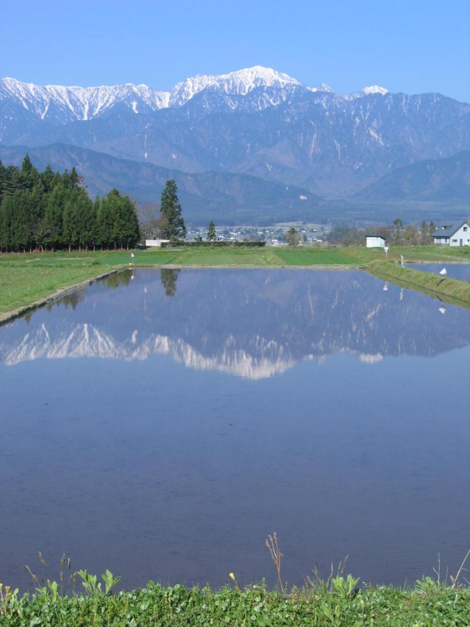 Mori No Michikusa Hotel Matsumoto Eksteriør billede